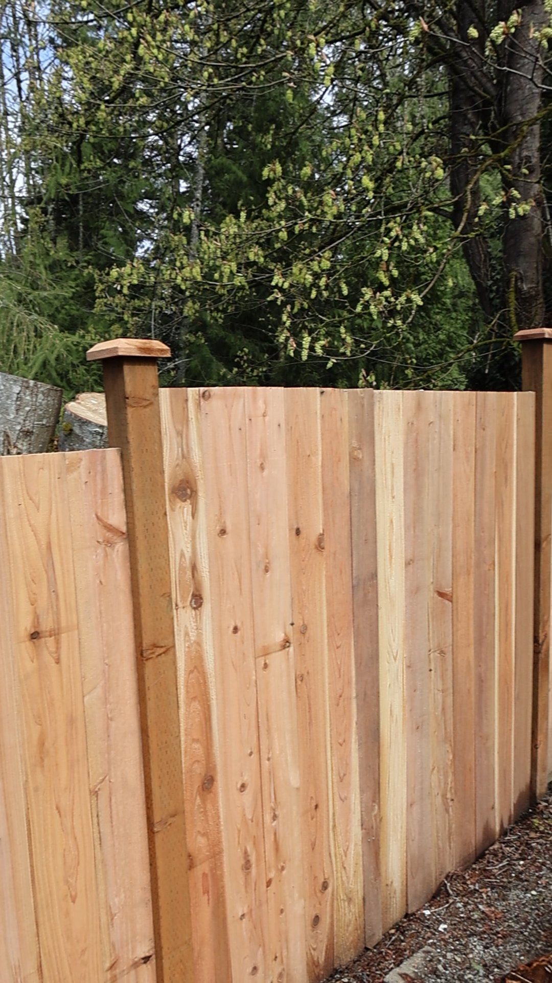 Composite Deck and Exterior Remodel in the Seattle-Everett Corridor